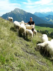 Hauserbauer Alm © Peter-Georg Hauser, Reutte