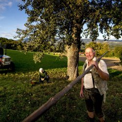 Alois Pöltl bei der Hirschbirnenernte in seinem Naturpark © STG Ikarus Tom Lamm