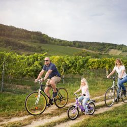 Fahrradtour durch Weingarten © ÖWM / Blickwerk Fotografie