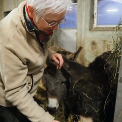 Schwiegermama Flora füttert die Esel und bietet einen tollen Räucher Workshop an (c) CreativElena.com