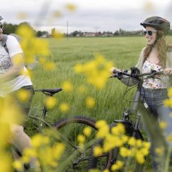 S'INNVIERTEL Tourismus_Johannes Kernmayer: Ein Pärchen macht eine Radpause zwischen Wiesen und Rapsfeldern.