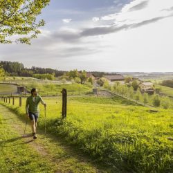 Foto SINNVIERTEL Tourismus_Johannes Kernmayer: Wandern in der Bewegungs-Arena Innviertel