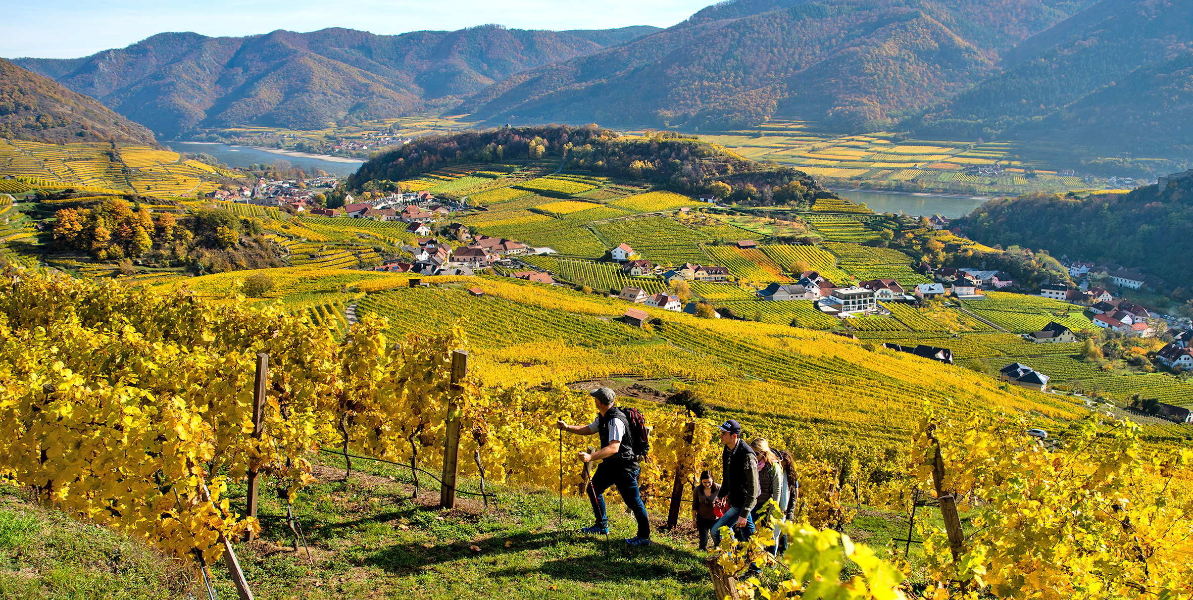 Weinwandern zum Weinspitz bei Genuss Reisen Österreich